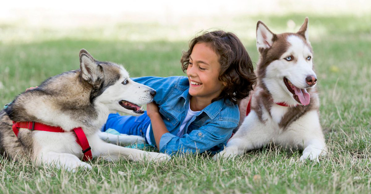 Breed Puppies